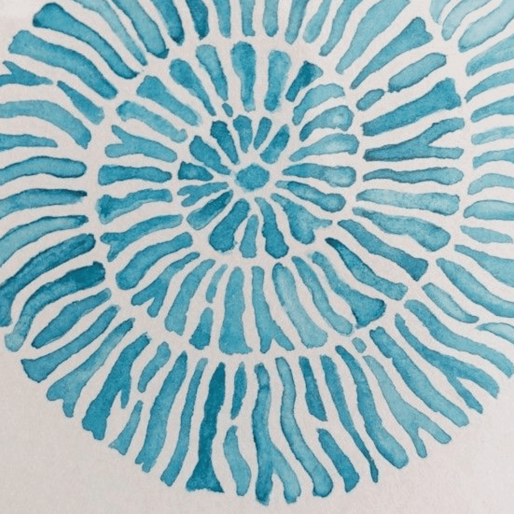 u
