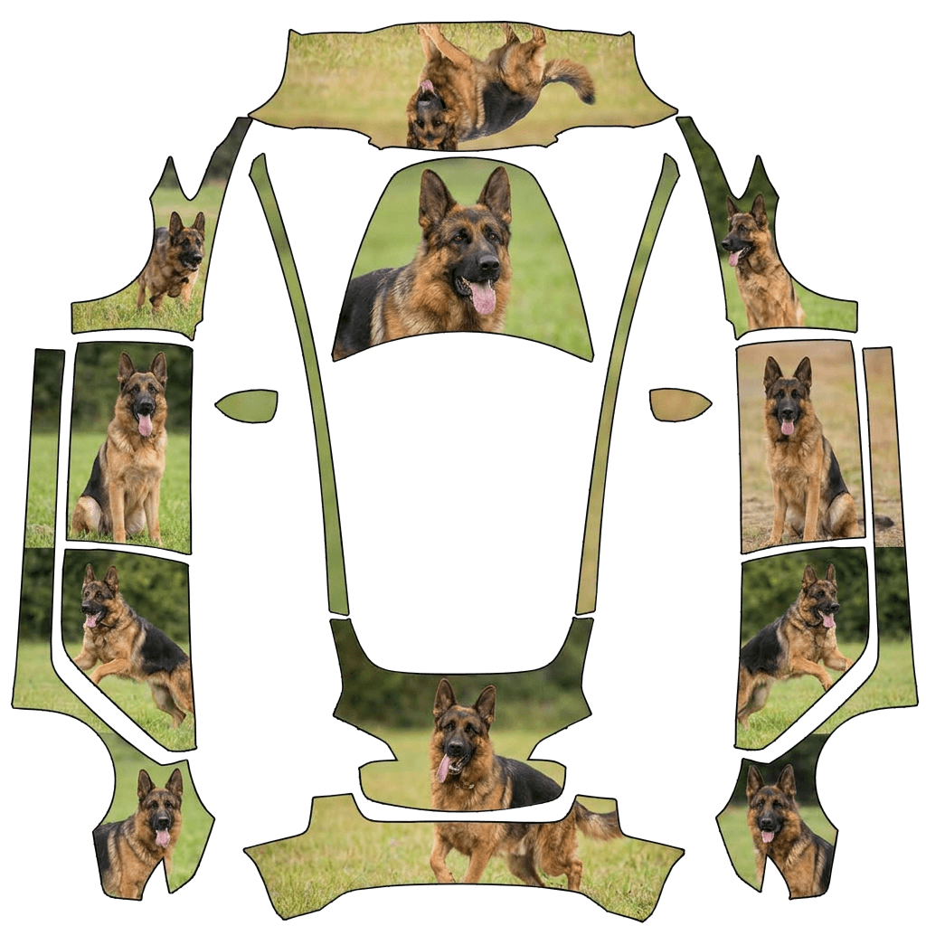 German Shepherds