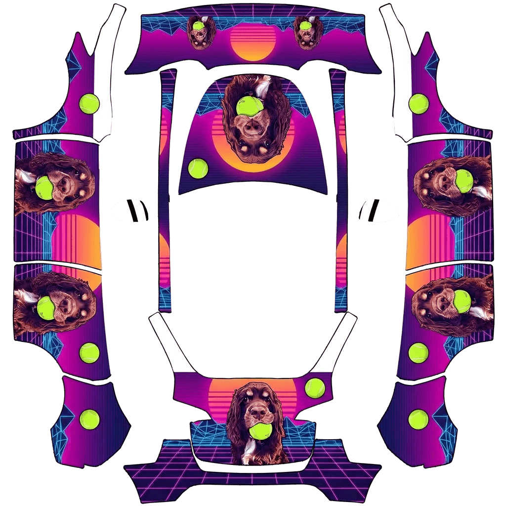 Cocker Spaniel Tennis 1980