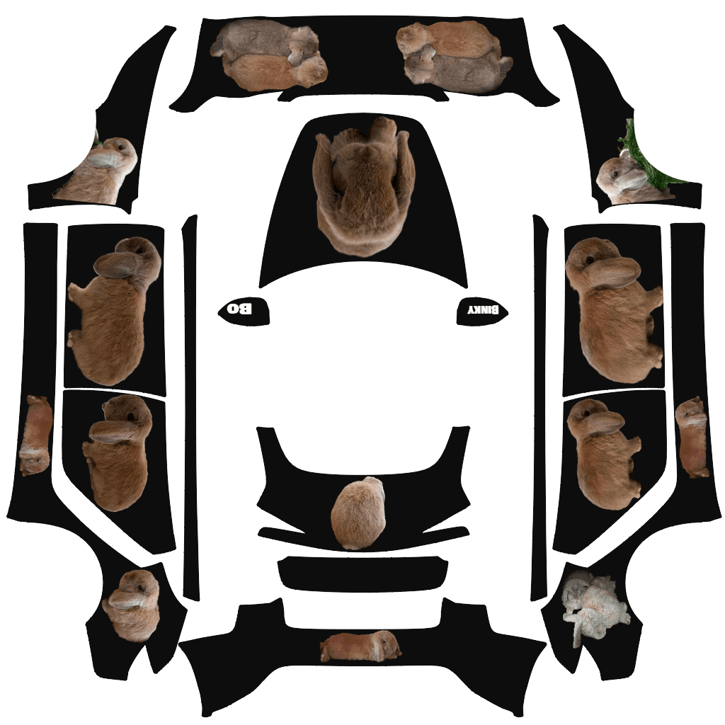 Bo