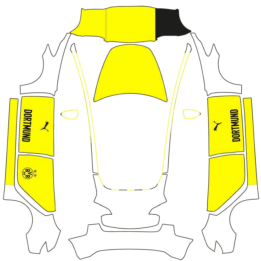 Dortmund Fußball
