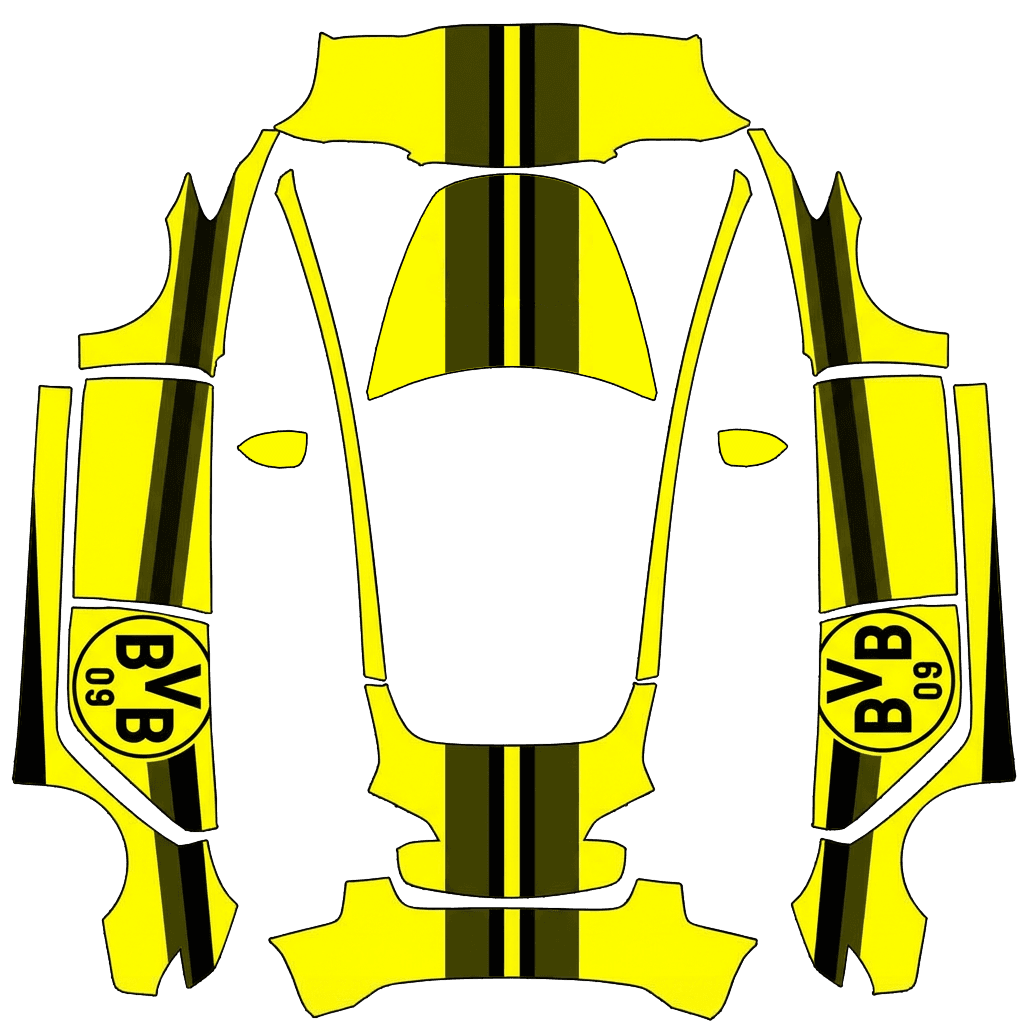 BVB09