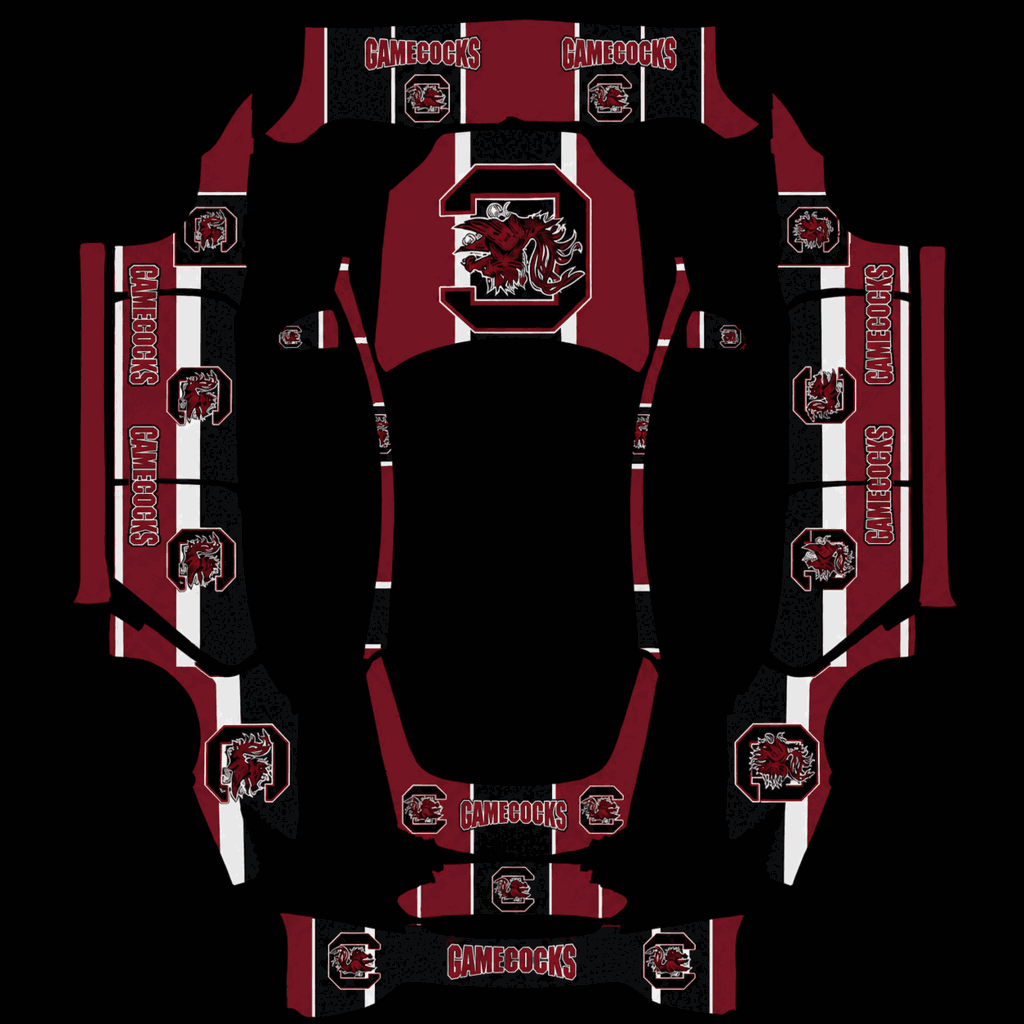 My South Carolina Gamecocks