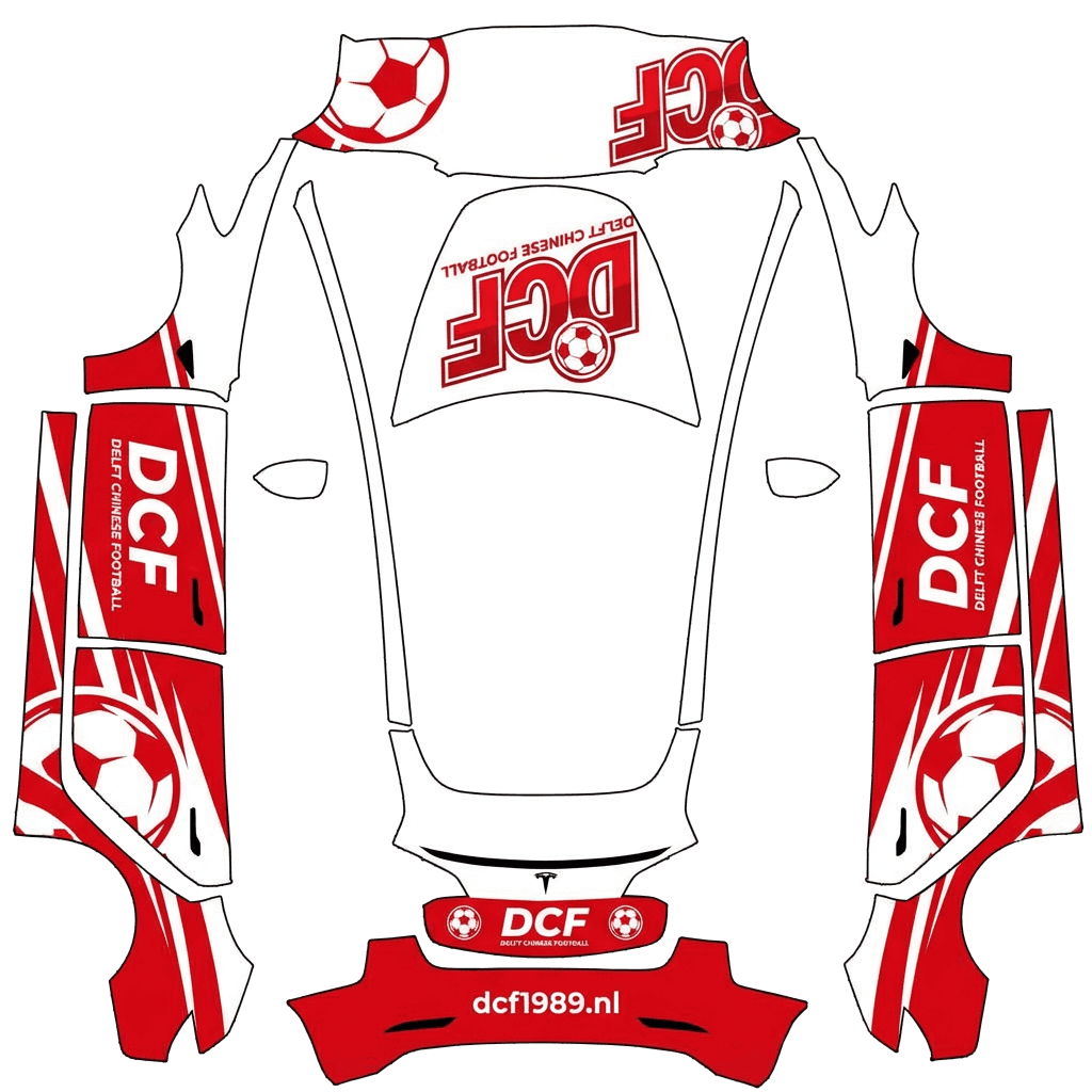 Delft Chinese Football (DCF)