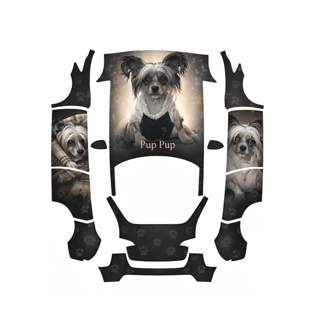 Pup Pup Tesla Taxi