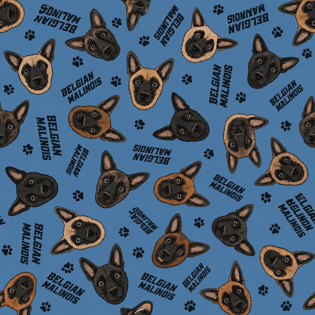 Bold Belgian Malinois Blue Pattern