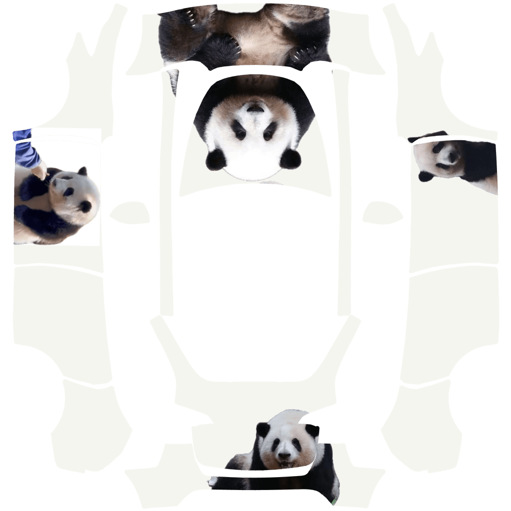 HUAHUA