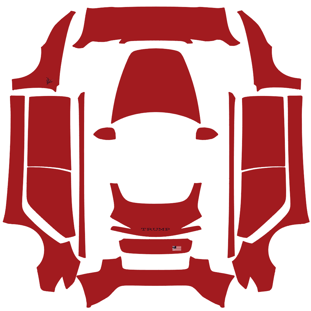 Trump tesla