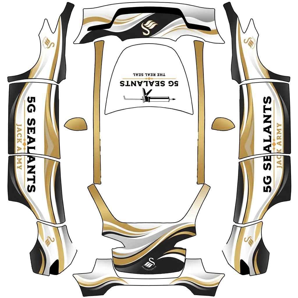 Swansea city fc
