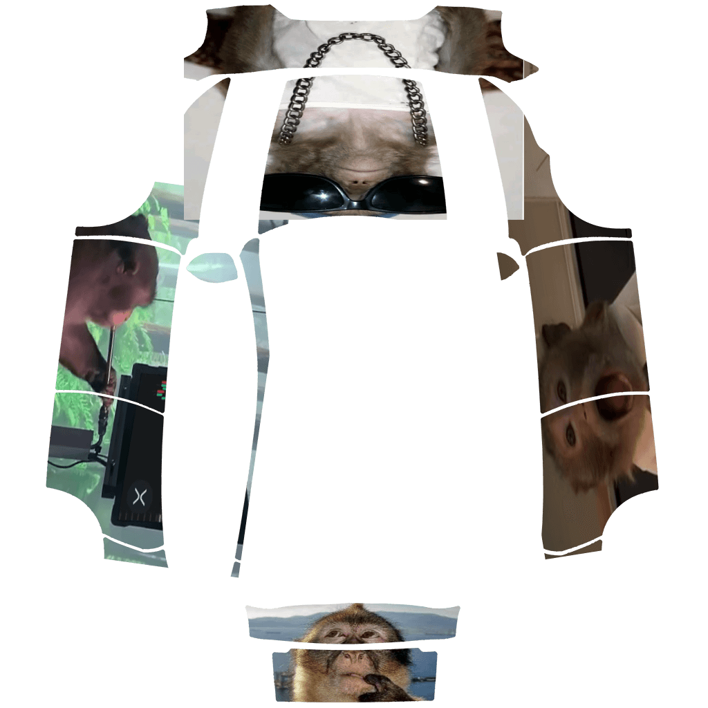 Monkey memes