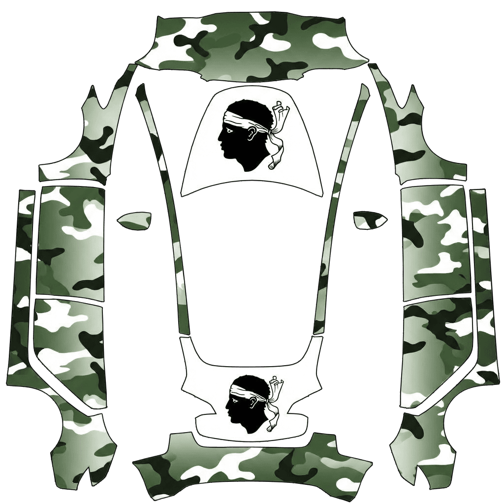 Tête de maure treillis vert dégradé