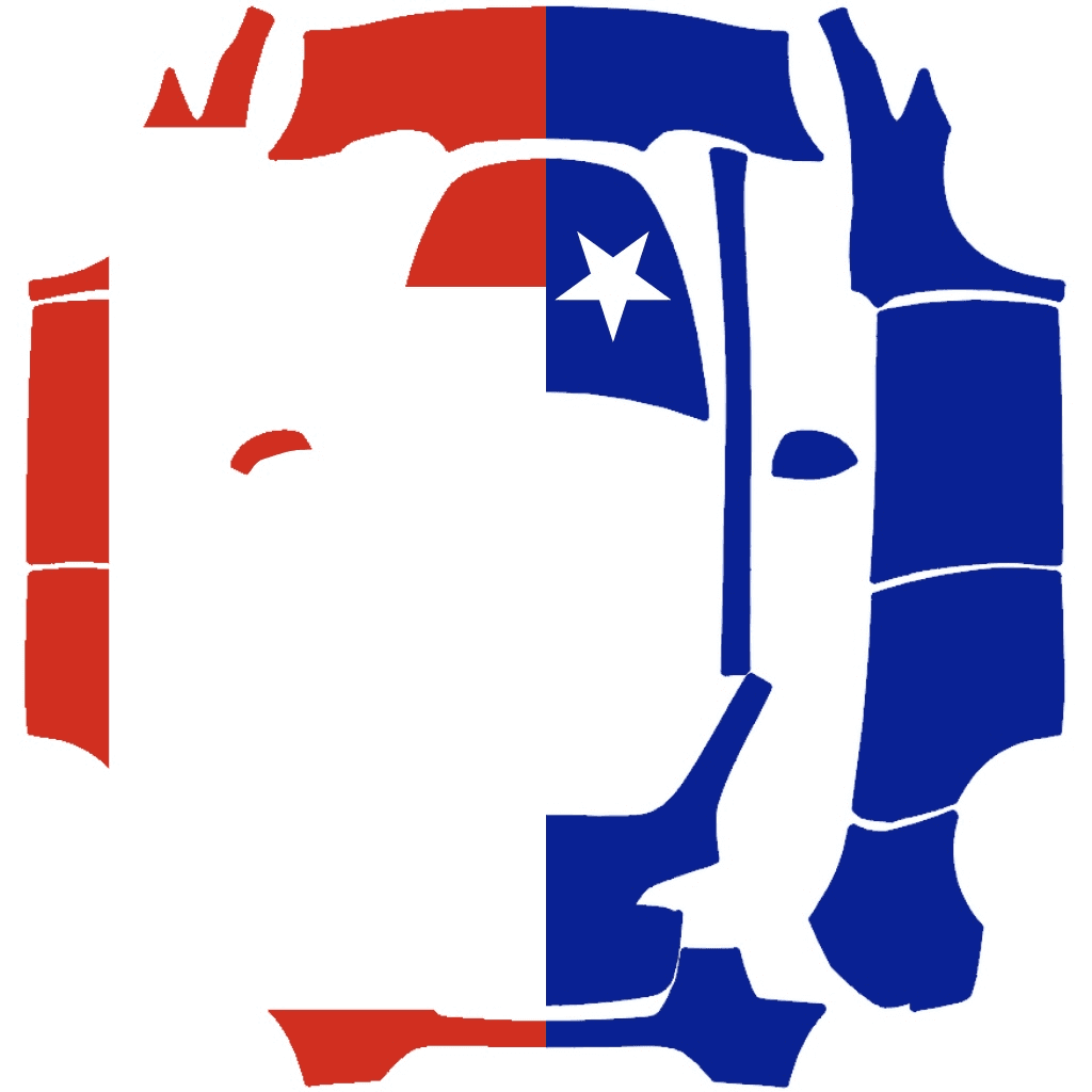 Texas Flag