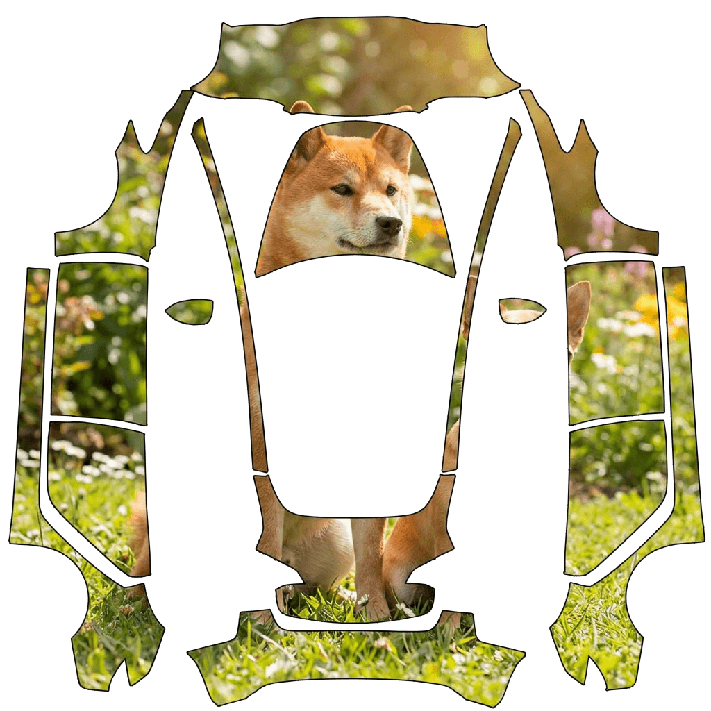 Shiba