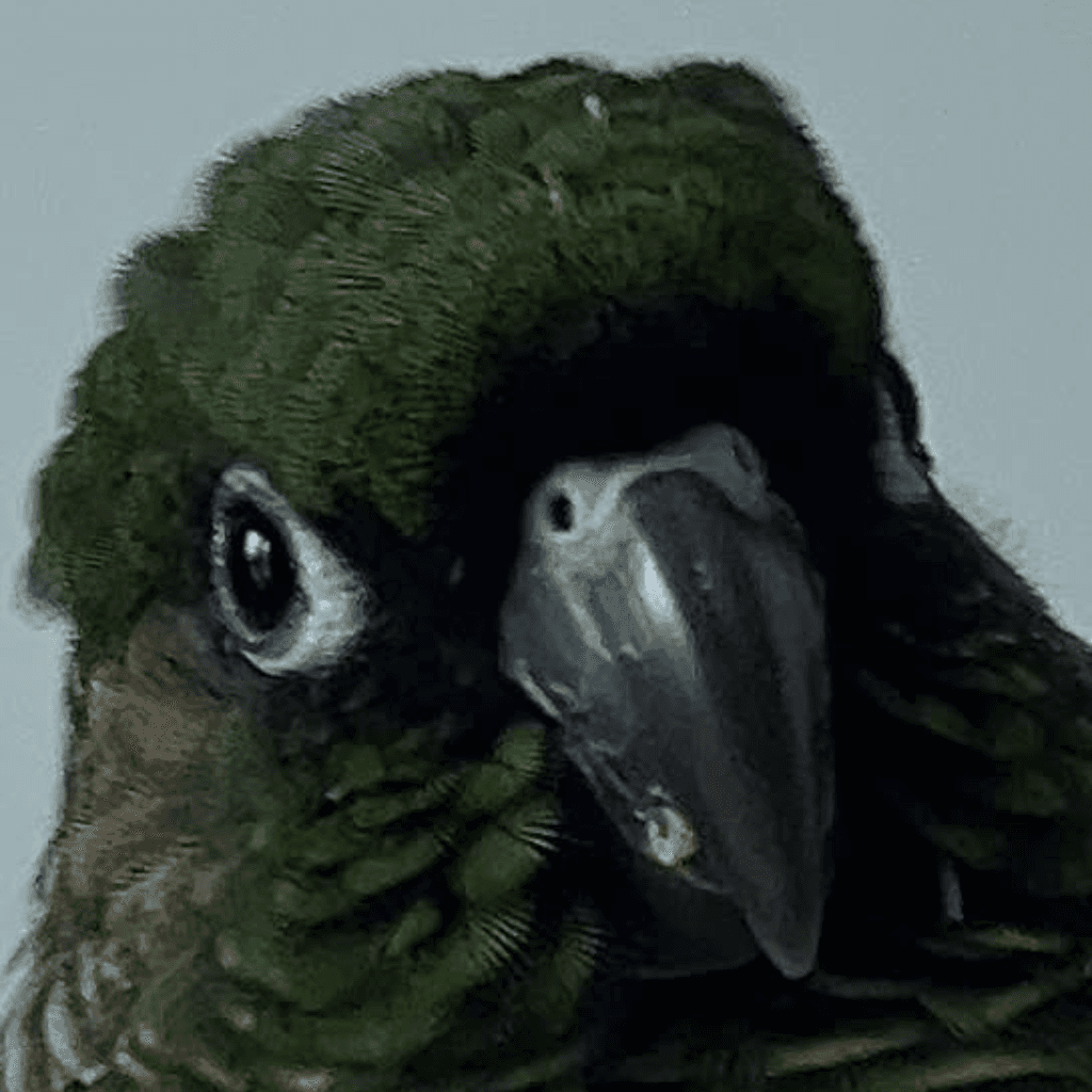 Hiro