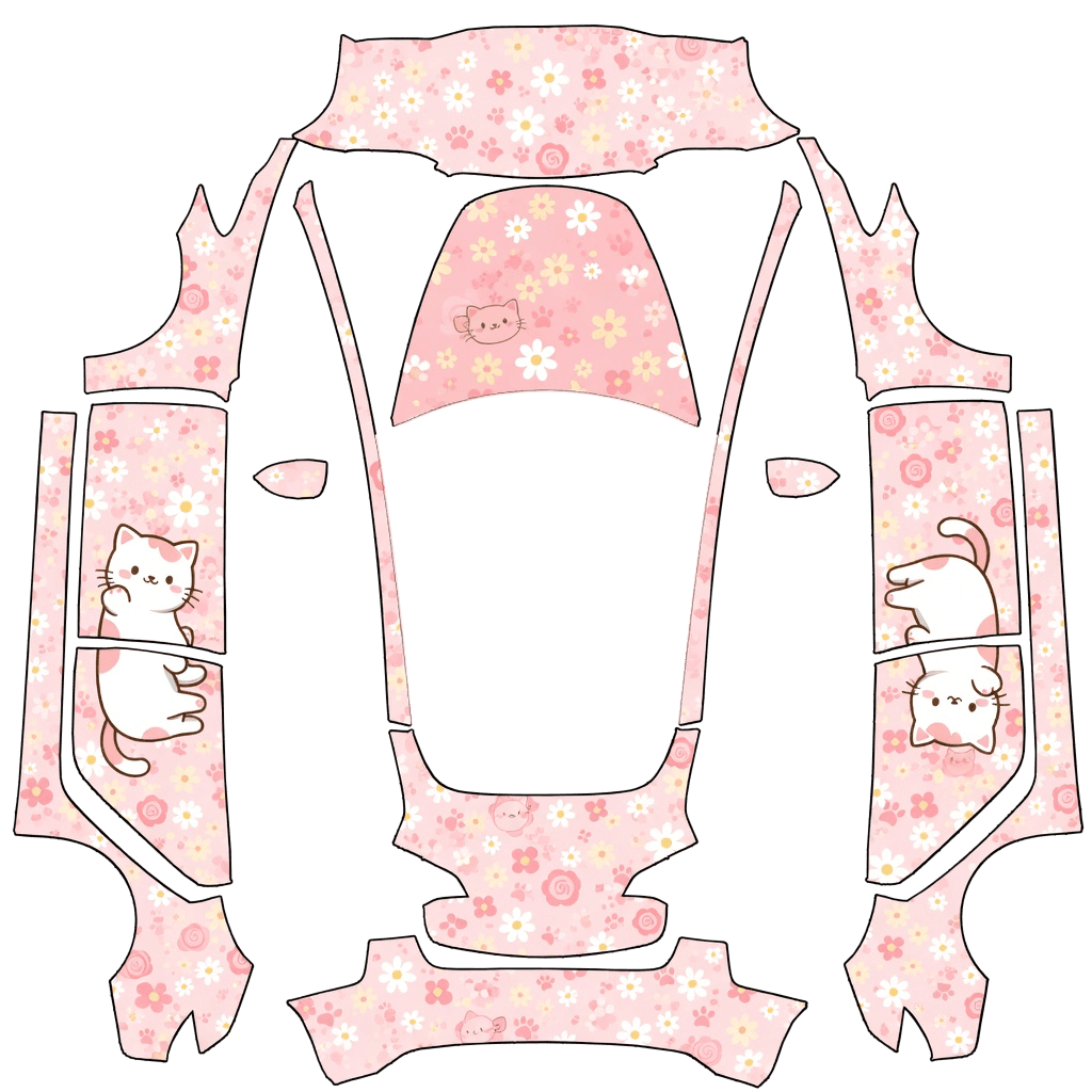 Cat 1