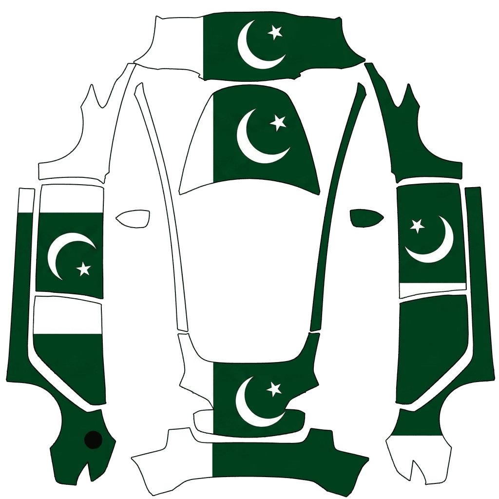 Pakistani flag by faran