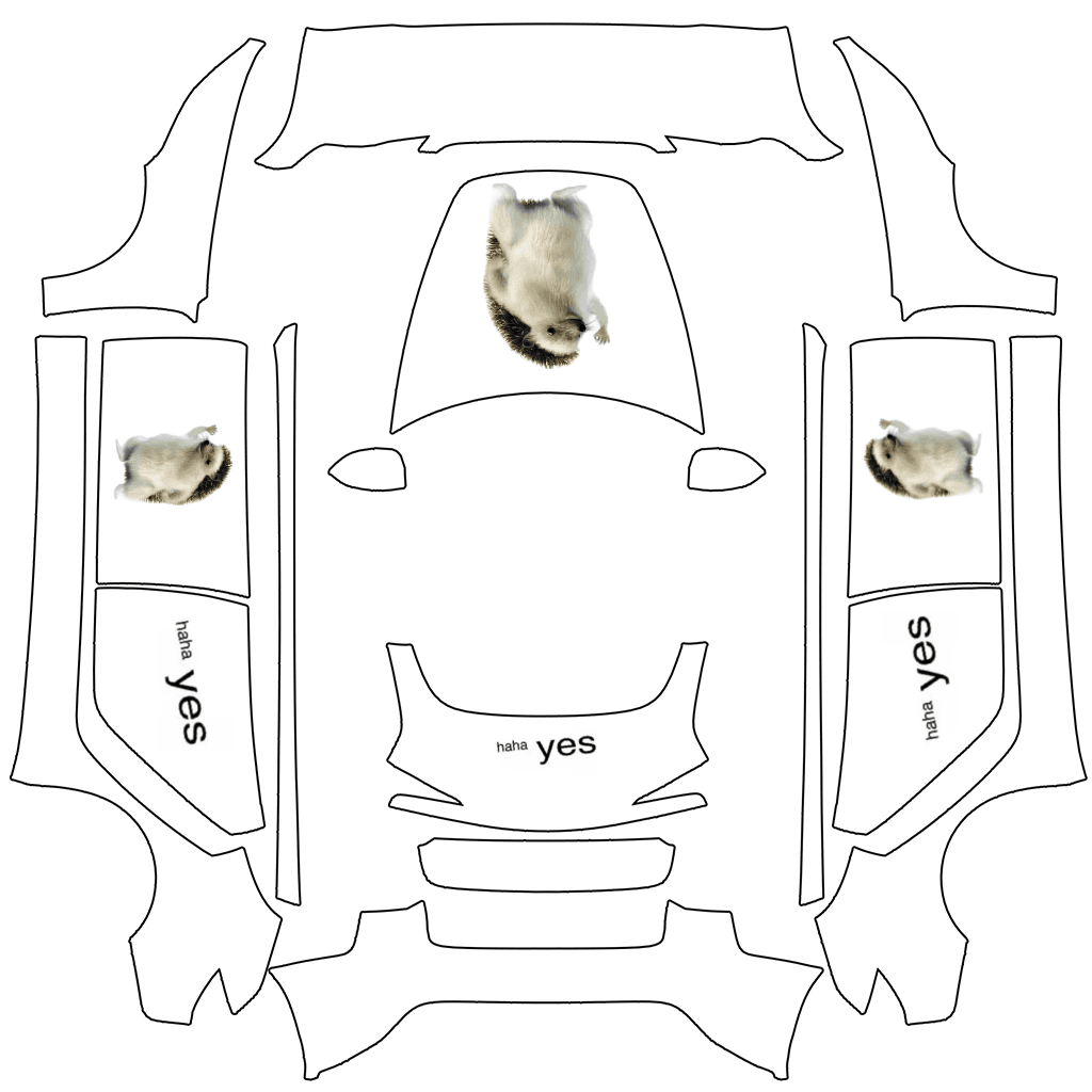 hedgehoghahayes