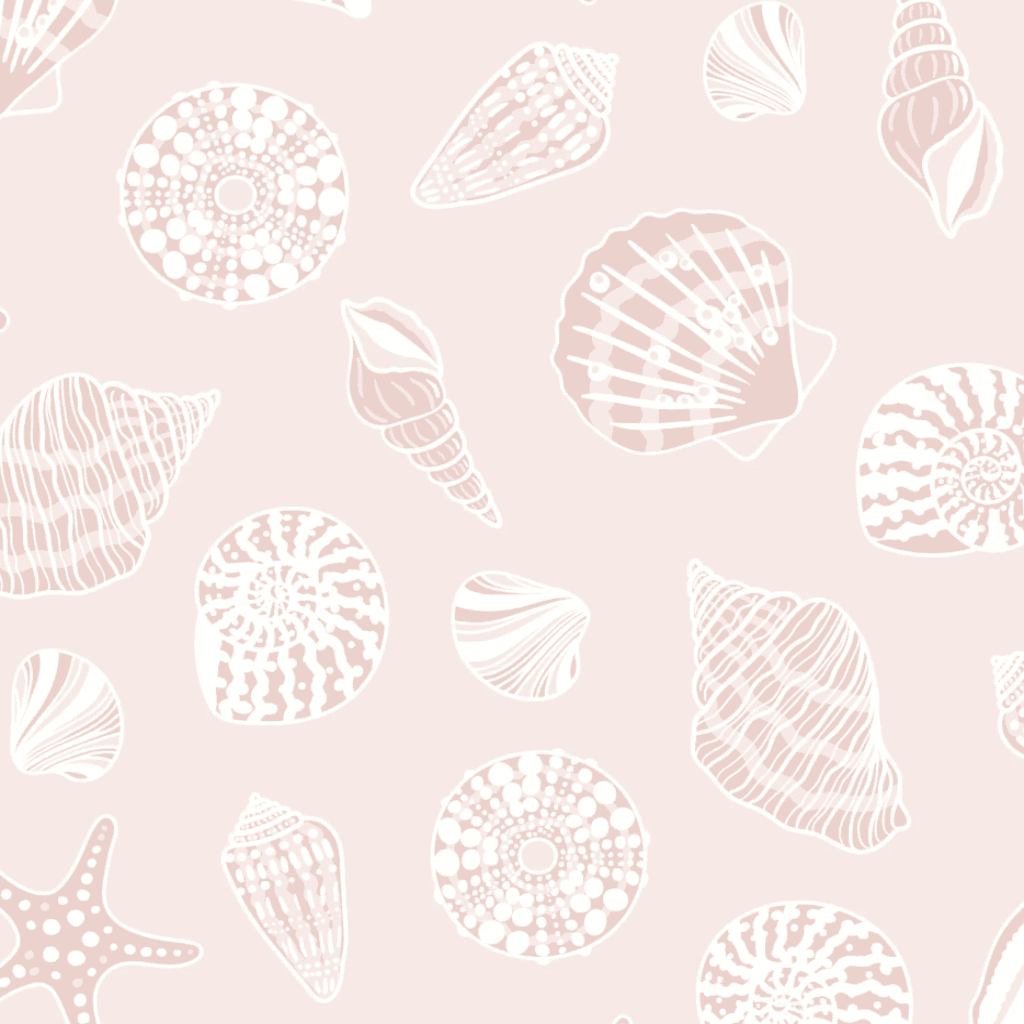 Seashell design