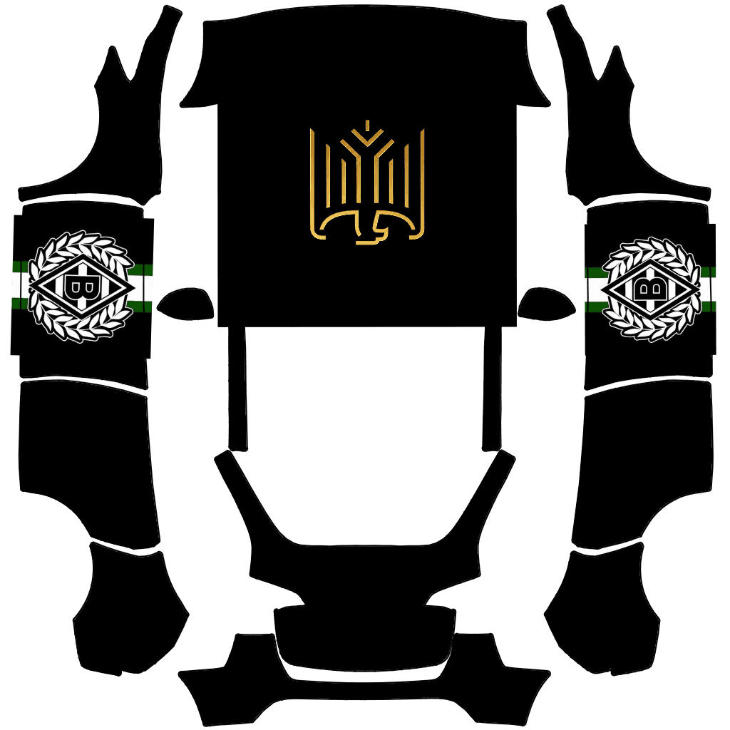 GERMAN VFL NEW