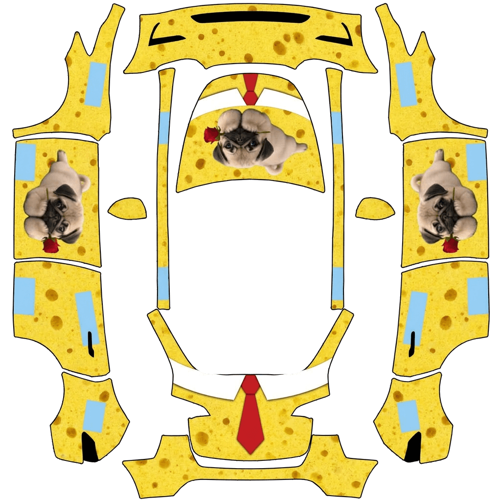 Pug