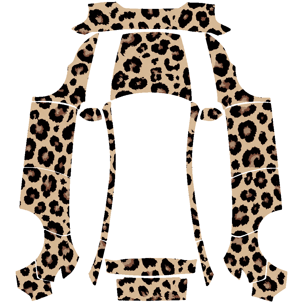 Cheetah