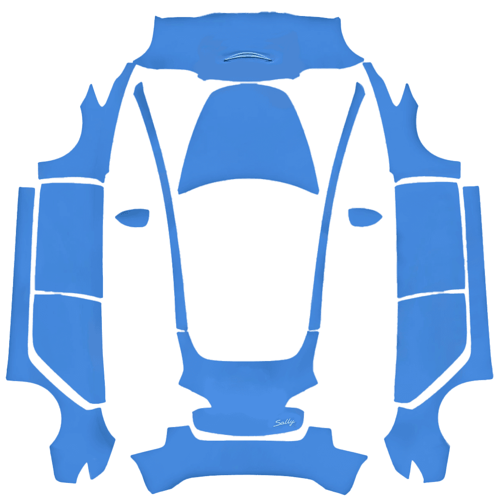 Sally from Cars Alternative