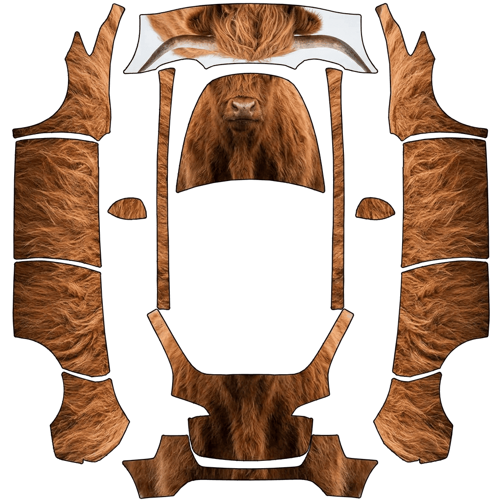 Highland cow