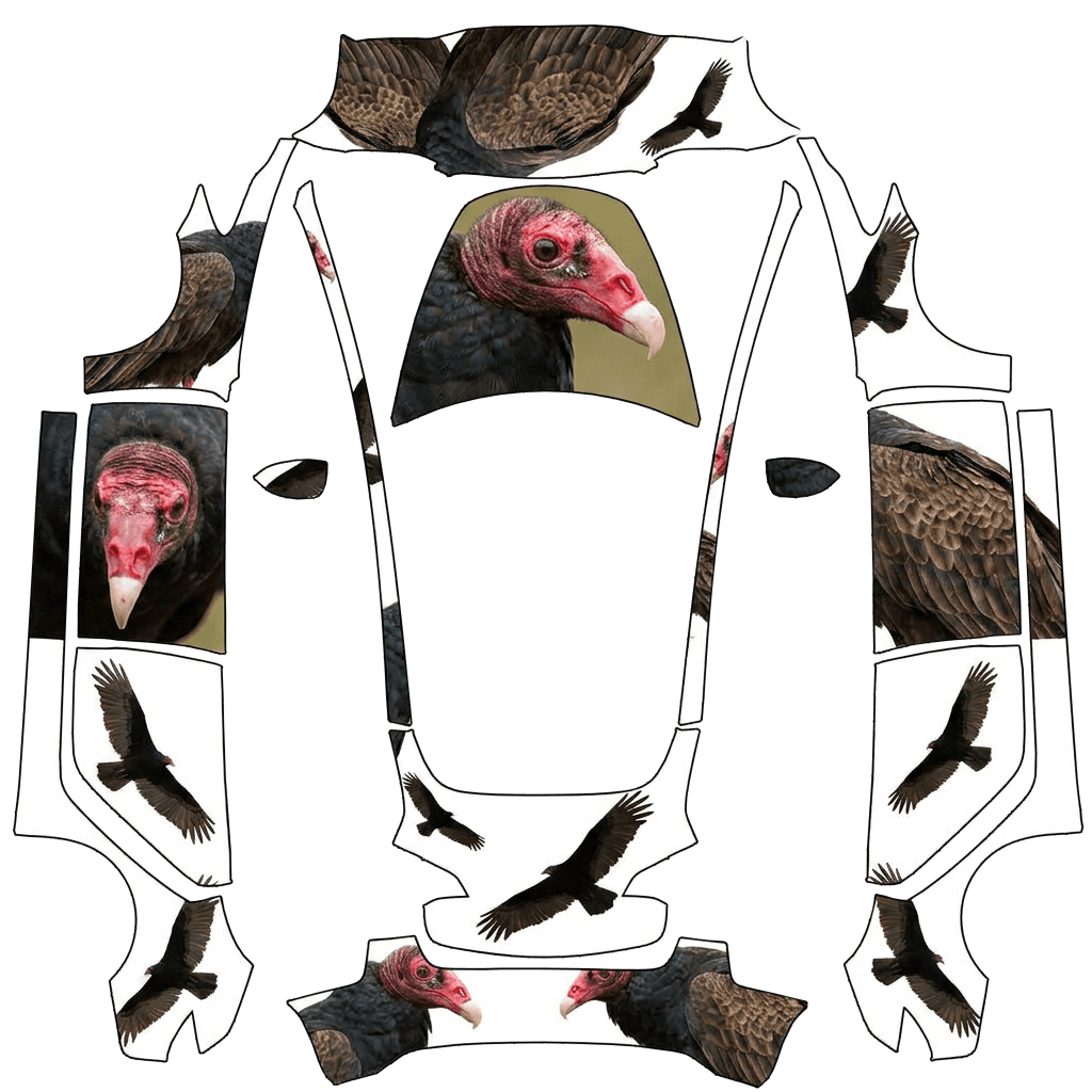 Turkey Vultures