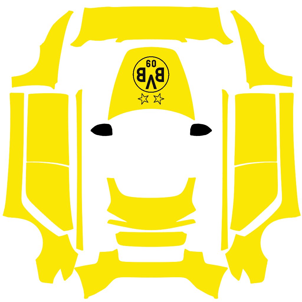 BvB 09