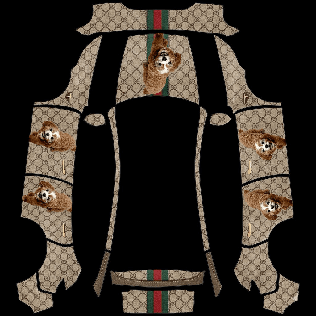 Gucci Gunner