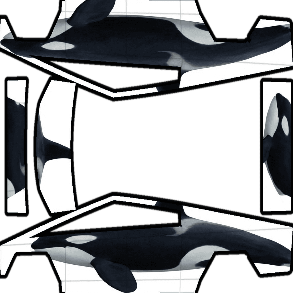 orca