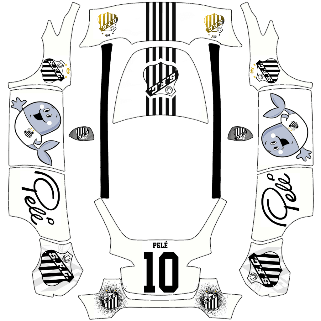 Santos Futebol Clube