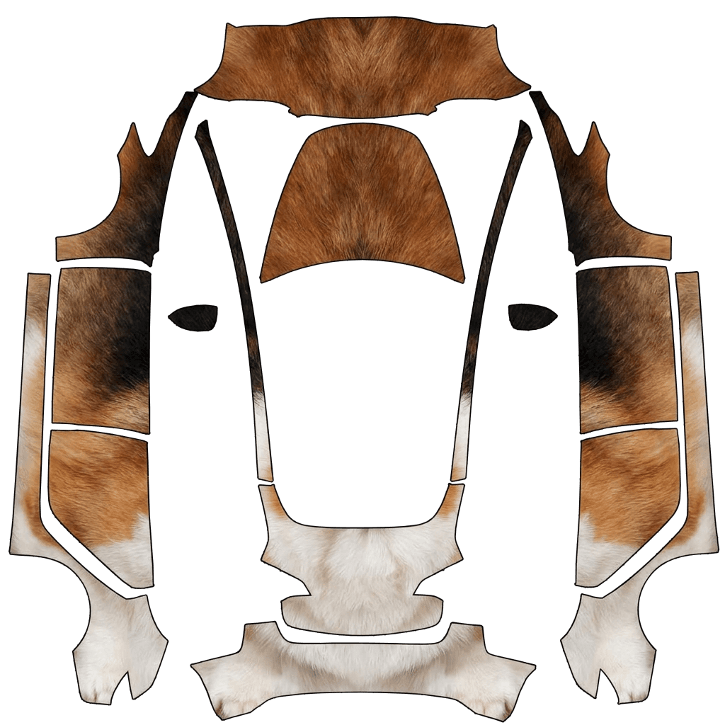 Corgi