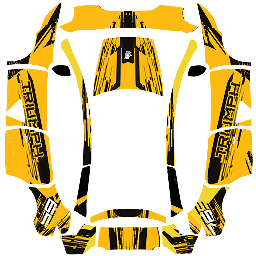 triumpth street triple 765