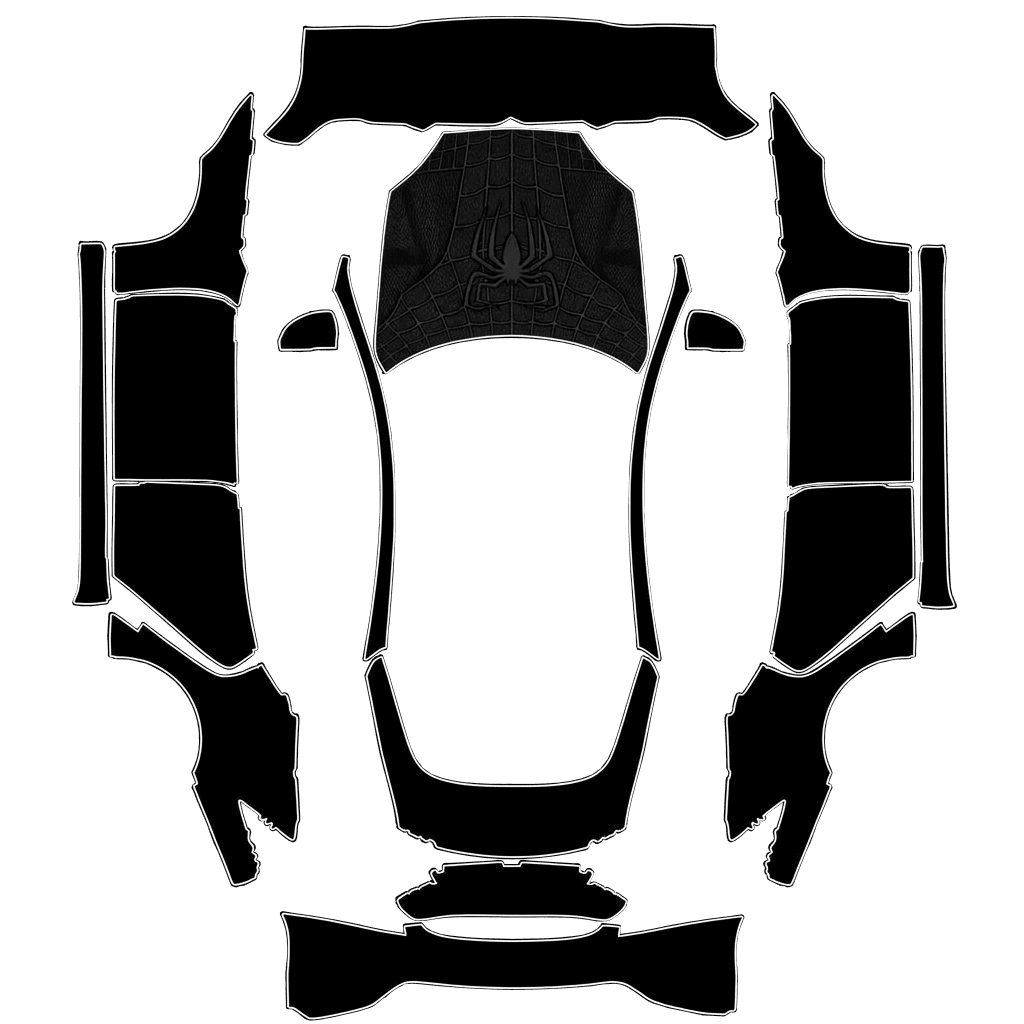 Tesla spider