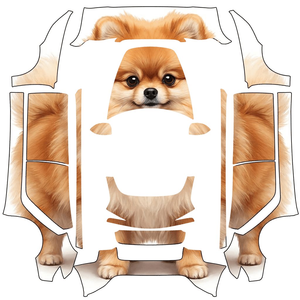 Pomeranian
