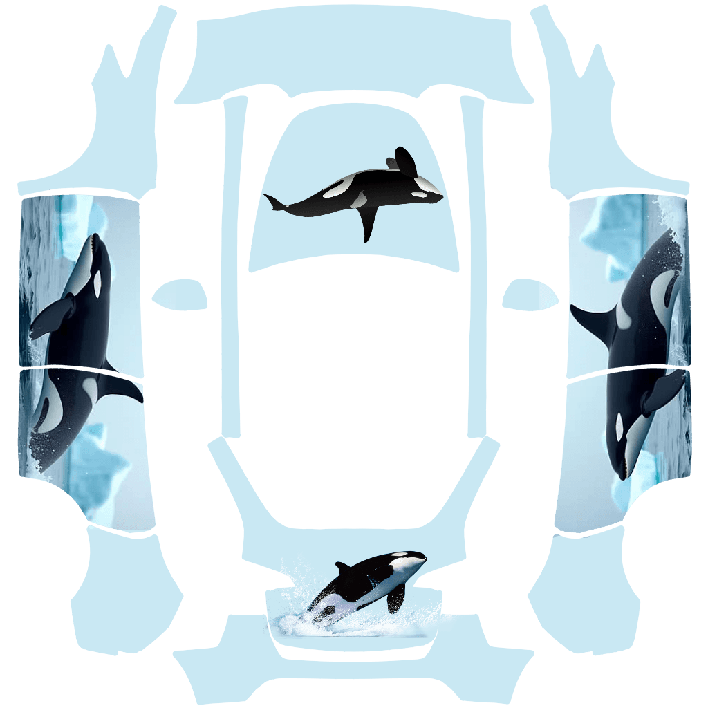Orca